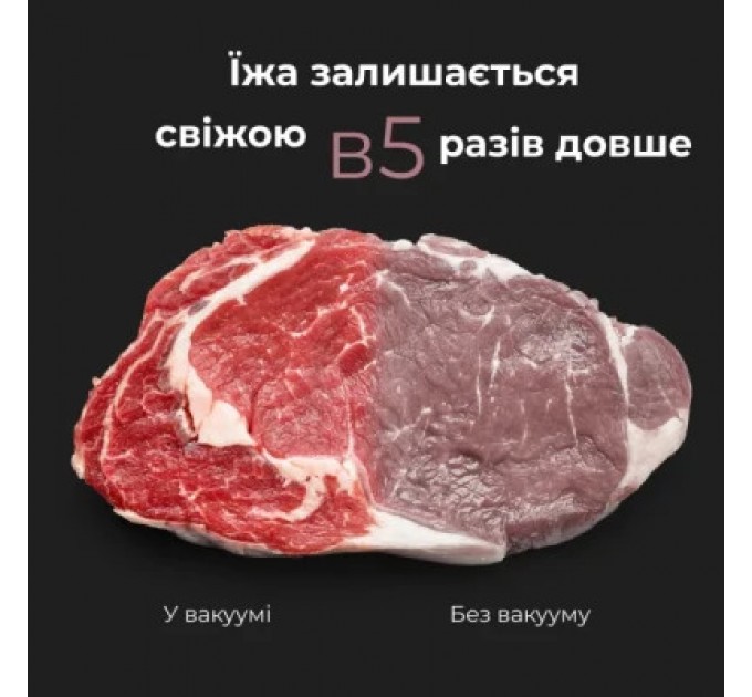 AENO Вакууматор AENO AVS0001