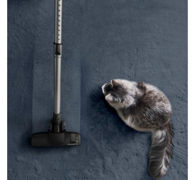 Rowenta Пилосос Rowenta RO7C66EA