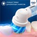 Oral-B Електрична зубна щітка Oral-B D103.413.2KX Lion King