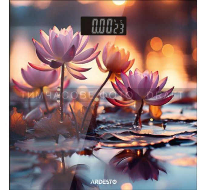 Ardesto Ваги підлогові Ardesto SCB-965LOTUS