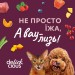 Delickcious Вологий корм для кішок Delickcious Напій з океанічною рибою 140 г (4820269141537)