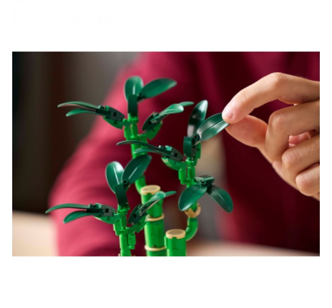 LEGO Конструктор LEGO Botanicals Бамбук щастя (10344)