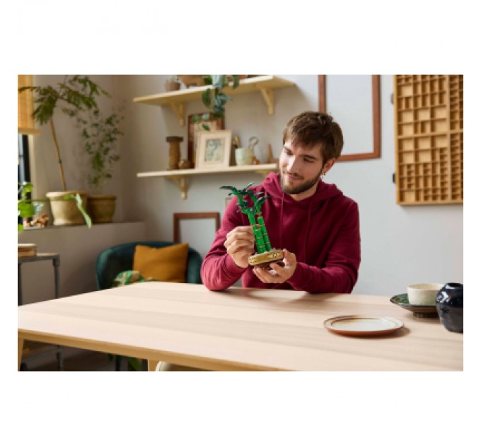 LEGO Конструктор LEGO Botanicals Бамбук щастя (10344)