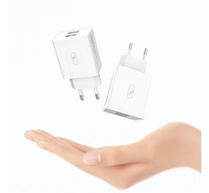 SkyDolphin Зарядное устройство SkyDolphin SC30 (2USB, 2.1A) White (SDMZP-000111)