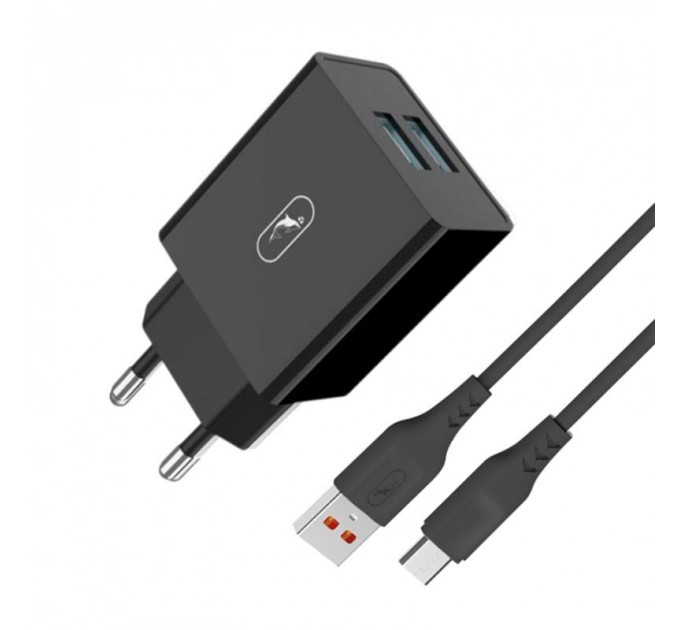 SkyDolphin Зарядное устройство SkyDolphin SC30V (2USB, 2.1A) Black (SDMZP-000172) + кабель microUSB