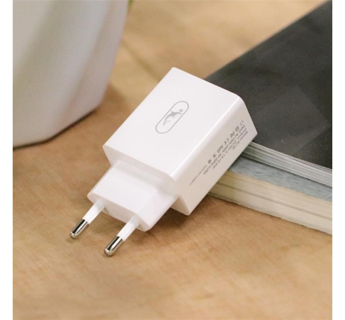 Зарядное устройство SkyDolphin SC30V (2USB, 2.1A) White (SDMZP-000114) + кабель microUSB