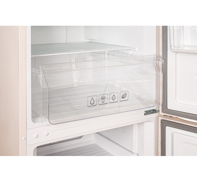 Grifon Холодильник Grifon NFN-185BG