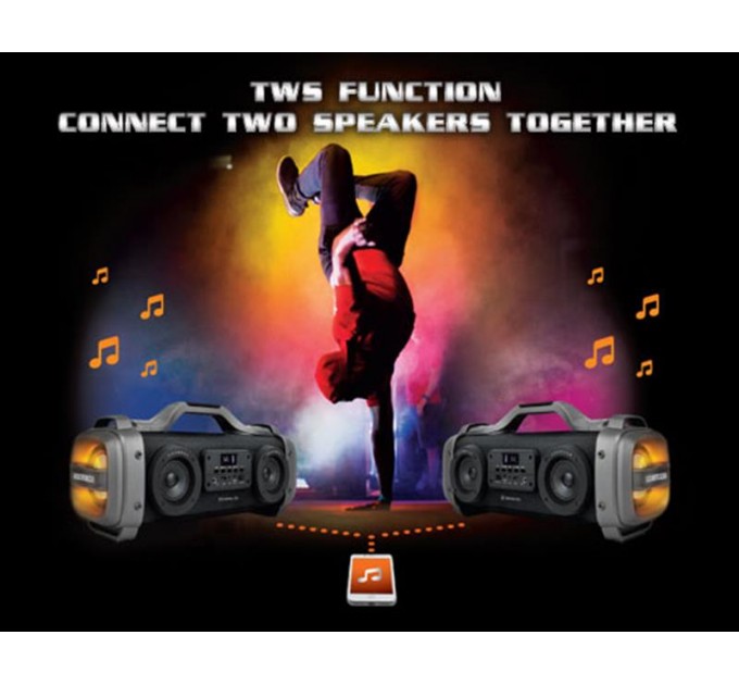 REAL-EL Акустична система REAL-EL X-770 Black