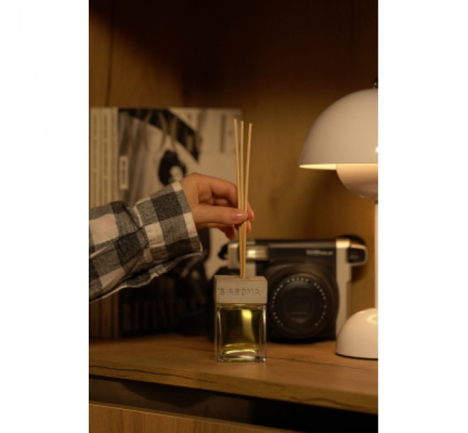 Аромадифузор Sister's Aroma Оргазм 100 мл (4820227783366)