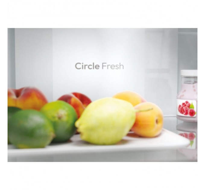 Candy Холодильник Candy ECN2CQTEX206