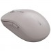 Мишка Canyon MW-12 Wireless/Bluetooth Beige (CNS-CMSW12BG)