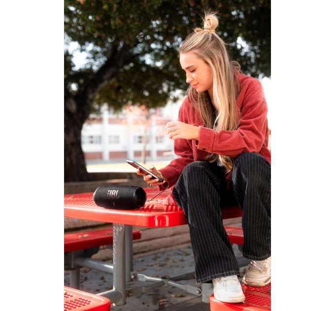 JBL Акустична система JBL Charge 6 Black (JBLCHARGE6BLK)