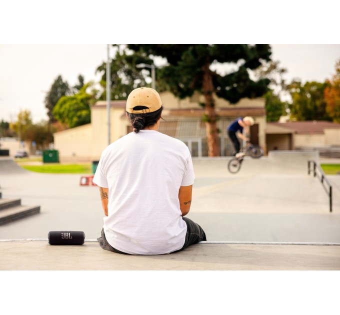 JBL Акустична система JBL Flip 7 Black (JBLFLIP7BLK)