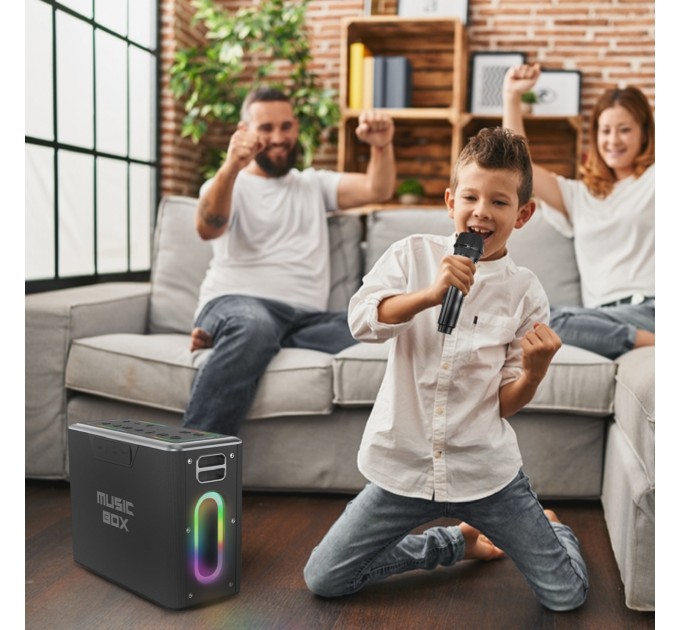 HIFuture Акустична система HiFuture MusicBox 100W Silver (musicbox.silver)