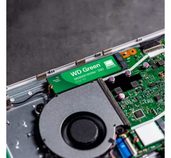 WESTERN DIGITAL Накопичувач SSD M.2 2280 1TB SN3000 WD (WDS100T4G0E)