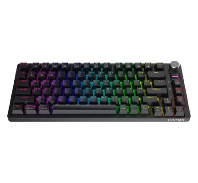 Клавіатура Hator Icefall Pro Wireless/Bluetooth/USB Black (HTK450UA)