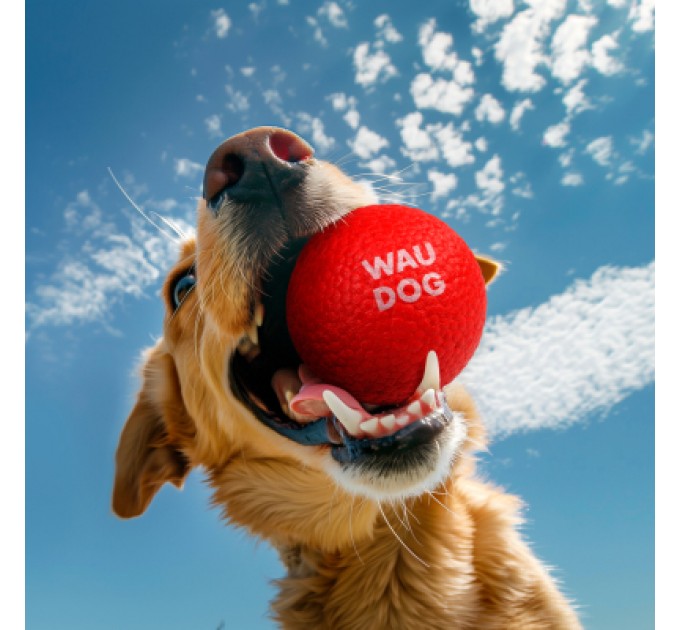 WAUDOG Іграшка для собак WAUDOG Fun Red Ball 70 мм (6001)