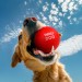 WAUDOG Іграшка для собак WAUDOG Fun Red Ball 70 мм (6001)