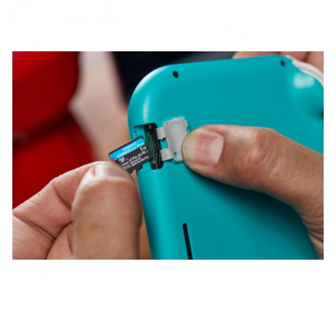 Kingston Карта пам'яті Kingston 64GB microSDXC сlass 10 UHS-I U3 V30 A2 Canvas Go Plus G4 (SDCG4/64GB)