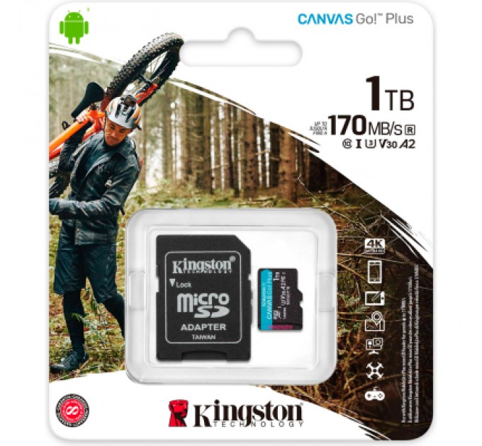 Kingston Карта пам'яті Kingston 1TB microSDXC сlass 10 UHS-I U3 V30 A2 Canvas Go Plus G4 (SDCG4/1TB)