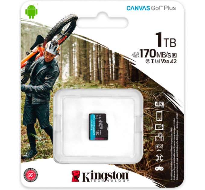 Карта пам'яті Kingston 1TB microSDXC сlass 10 UHS-I U3 V30 A2 Canvas Go Plus G4 (SDCG4/1TBSP)