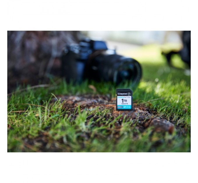 Kingston Карта пам'яті Kingston 128GB SDXC сlass 10 UHS-I U3 V30 Canvas Go Plus G4 (SDG4/128GB)