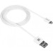 Canyon Дата кабель USB 2.0 AM to Lightning 1.0m White Canyon (CNE-CFI1W)