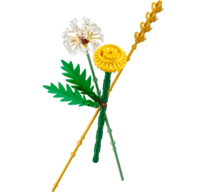 LEGO Конструктор LEGO Botanicals Польові квіти (30701)
