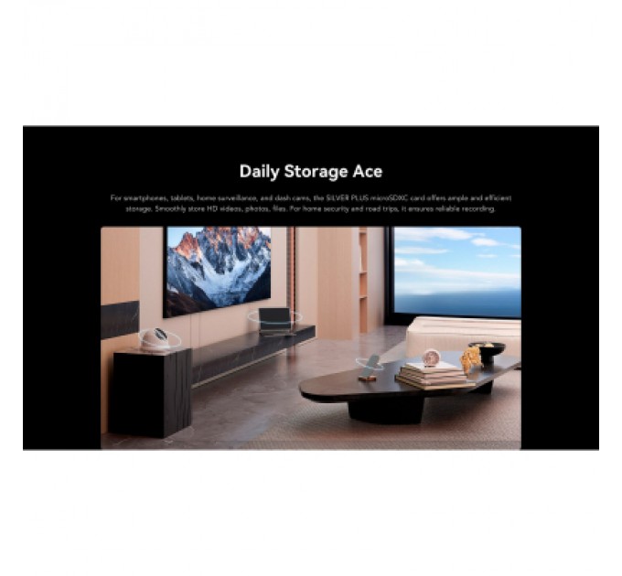 Карта пам'яті Lexar 256GB microSDXC class 10 UHS-I U3 V30 A2 Professional Silver (LMSSIPL256G-BNANG)