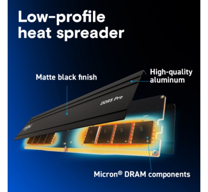 Модуль пам'яті для комп'ютера DDR5 64GB 5600 MHz Micron (CP64G56C46U5)