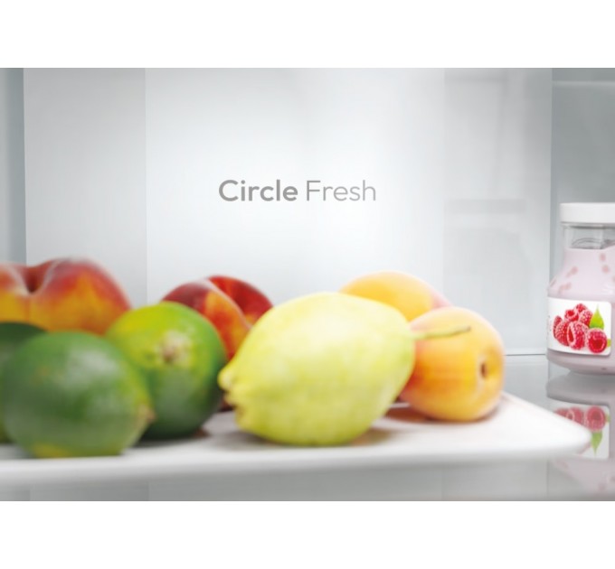 Candy Холодильник Candy ECN2CQTEW186