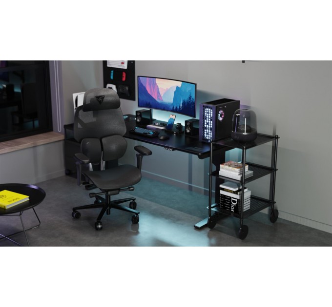 Крісло для геймерів ThunderX3 Flex Pro Mesh Black (TEGC-3076101.12)