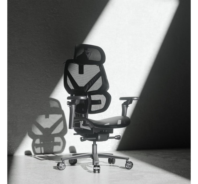 Крісло для геймерів ThunderX3 Flex Pro Mesh Black (TEGC-3076101.12)