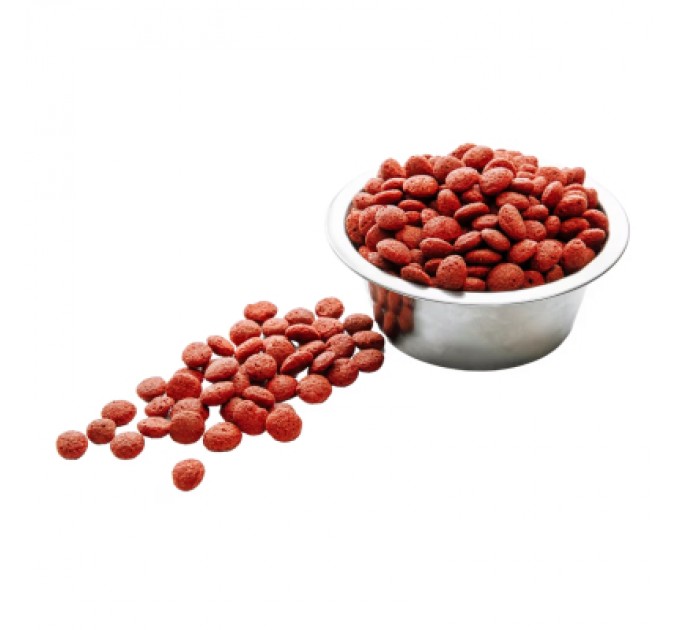 Wise Dog Сухий корм для собак Wise Dog Beef 10 кг (4820111141562)