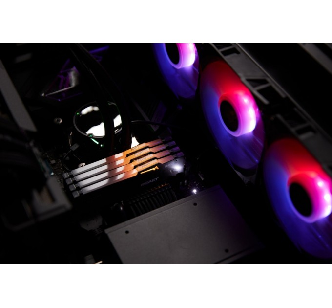Модуль пам`яті DDR5 32GB/5600 Kingston Fury Beast RGB Black (KF556C36BBE2A-32)