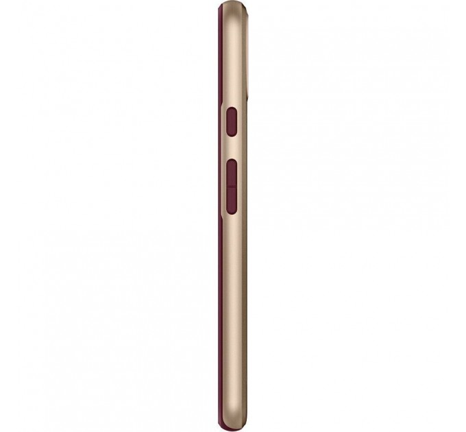 Spigen Чохол-накладка Spigen Neo Hybrid для Google Pixel 4 Burgundy (F26CS27574)