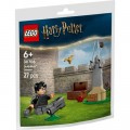 Конструктор LEGO Harry Potter Урок з Квідичу (30706)