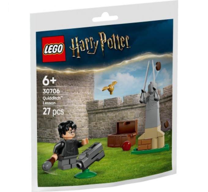 Конструктор LEGO Harry Potter Урок з Квідичу (30706)