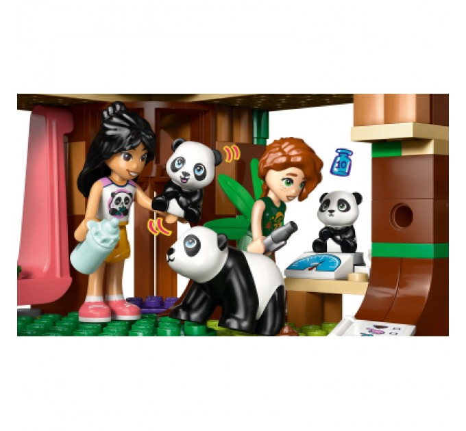 Конструктор LEGO Friends Догляд за тваринами в заповіднику панд (42648)