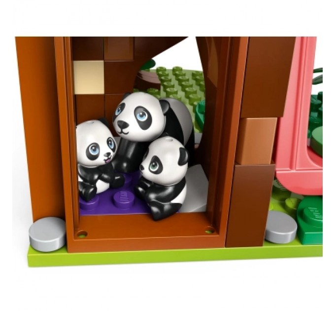 Конструктор LEGO Friends Догляд за тваринами в заповіднику панд (42648)