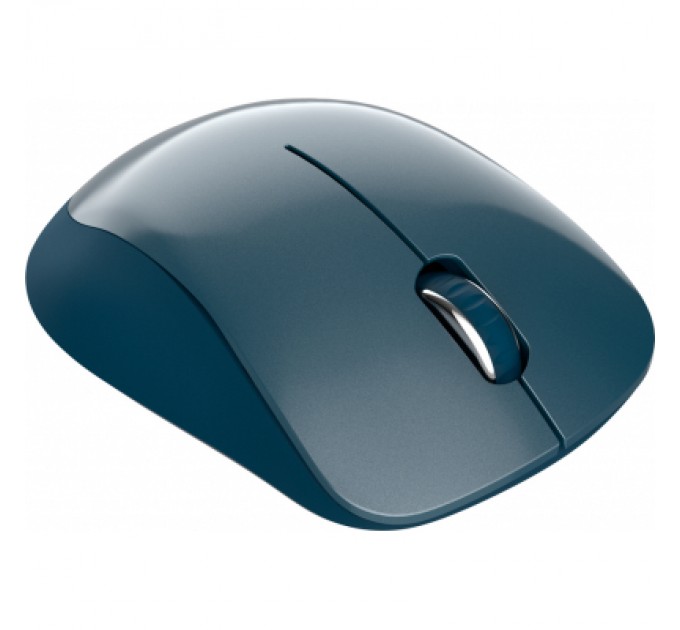 Мишка Canyon MW-11 Wireless Pixart Blue (CNE-CMSW11BL)