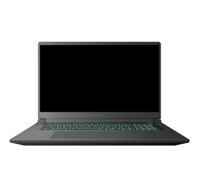 Thunderobot Ноутбук Thunderobot 911 X17 (911X17-i7136H56C1Q165MBD)