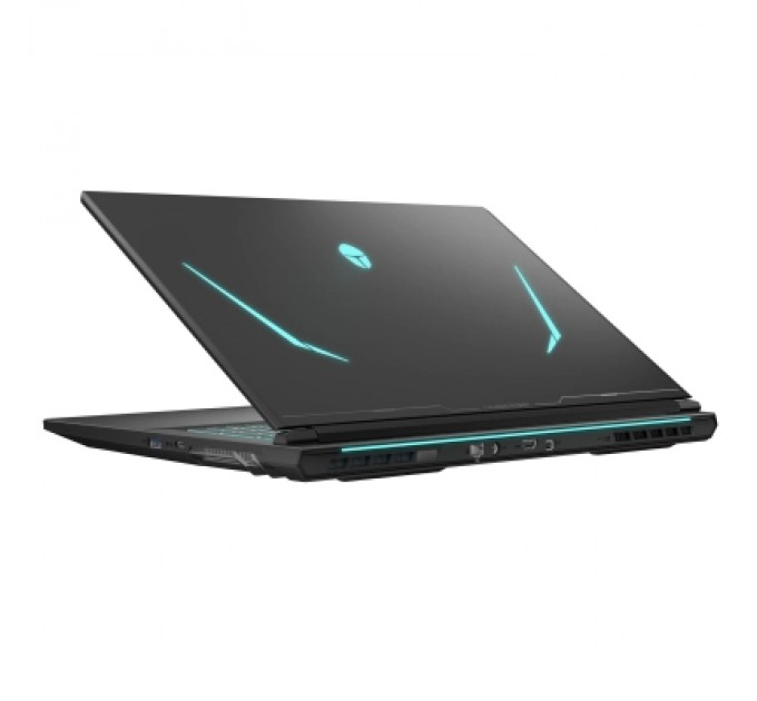 Thunderobot Ноутбук Thunderobot 911 X17 (911X17-i7136H56C1Q165MBD)