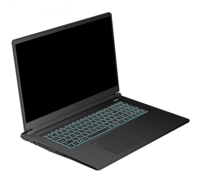 Thunderobot Ноутбук Thunderobot 911 X17 (911X17-i7136H56C1Q165MBD)