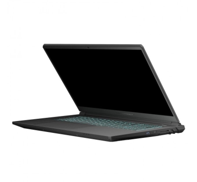 Thunderobot Ноутбук Thunderobot 911 X17 (911X17-i7136H56C1Q165MBD)