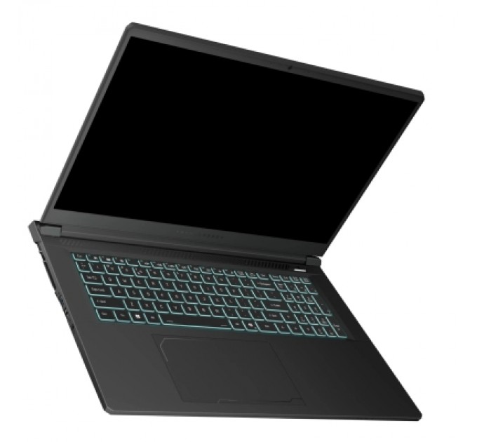 Thunderobot Ноутбук Thunderobot 911 X17 (911X17-i7136H56C1Q165MBD)