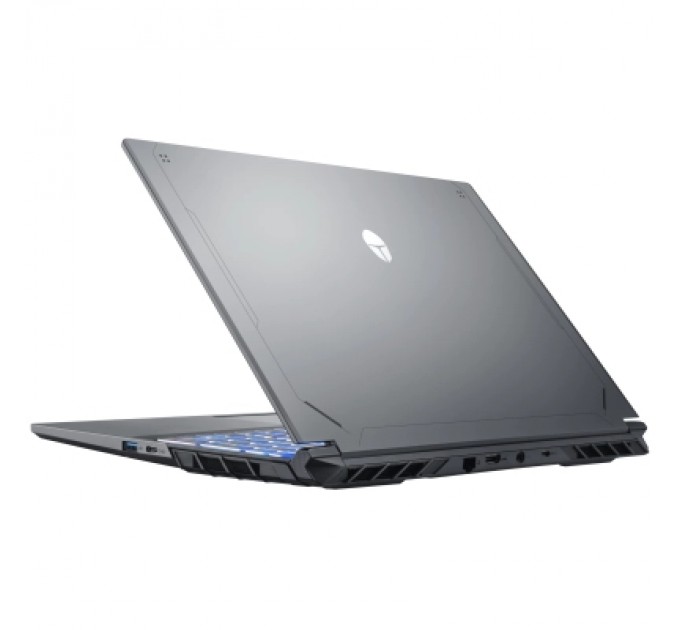 Thunderobot Ноутбук Thunderobot R16 (R16-i7146HX56C1Q300RG)