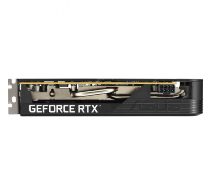Відеокарта ASUS GeForce RTX5050 8Gb DUAL OC (DUAL-RTX5050-O8G)