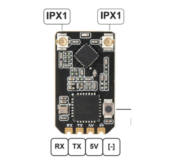 RadioMaster Приймач (RX) RadioMaster DBR3