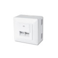 Assmann Комп'ютерна розетка Digitus 2xRJ45 STP, cat. 6, для відкритої проводки (DN-9006-N)